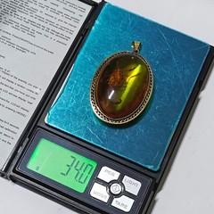 Amber scorpion pendant, natural insect fossil, vintage archaeological jewelry