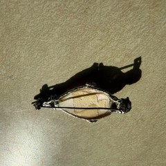Vintage Selro Selini Asian Goddess Face Pendant Pen Mother of Pearl 1950s WORKS