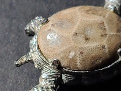 Vintage Petoskey Stone Silvertone Turtle Tortoise Brooch Pin Fossilized Coral