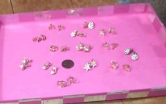 Vintage Children’s Goldtone Clip On Earrings (14 Pairs)