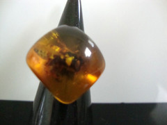 Vtg Unique Pressed Amber Lucite with Insect Ring 6.75US