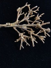 Vtg Sterling Silver gold Tone Multi Color Stone Detailed Tree Of Life Brooch