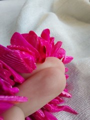 Vintage 1980s Hot Pink Dyed Shell Chunk Bracelet Stretchy Statement Retro Boho