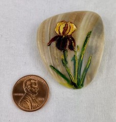 Vintage Hand Painted Iris Flower On Natural Shell Brooch Pin Floral Gardening
