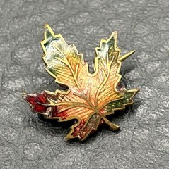 Vintage Maple Leaf Enamel Small Lapel Pin Multicolor Gold Tone C Clasp Canada