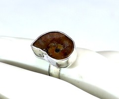 Excellent 450 mil years old Natural Ammonite Fossil .925 Sterling Silver Ring #6