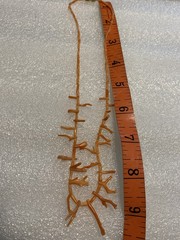Vintage Peach/Orange/Salmon Angel Skin Coral Branch & Bead Necklace-See Pics