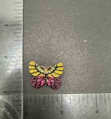 Colorful Rhinestone Butterfly Brooch Pin J37b