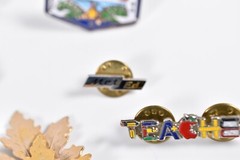 Lot of 28 Pin Brooch Fall Pumpkin Teacher Gold Tone Leaf Flag Sailboat Bow Eagle