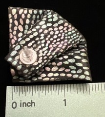 Vintage Iridescent Fan Material W/ Beaded Inset Rosette Stud Earrings 1 1/2” L