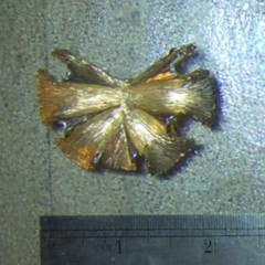 Vintage S.G. D’OR Dress or Shoe Clip On gold tone Flower or Leaf
