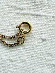 Antique W & H Co. Fleur De Lis Gold Filled Locket Pendant with Necklace Chain