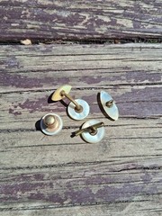 Antique 1900s Mother Of Pearl Cufflink, Stud, & Button Set