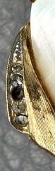 Coro Mother of Pearl Shell Jelly Belly Fish Brooch Faux Coral Rhinestone READ