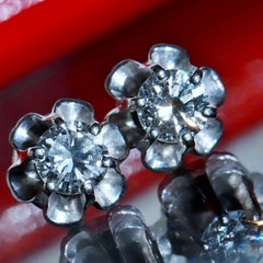 14k white gold earrings 0.50ct natural diamond screwback flower stud 1.95g N3762