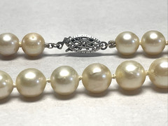 Vintage Akoya Cultured Pearl Necklace 15in Choker 7.8mm Cream Knotted Silver