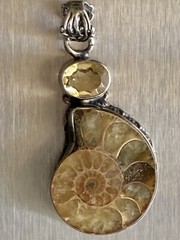 Ammonite Fossil Gemstone Bezel Set 1.75” Pendant 925 Sterling Silver 9.45g Vtg.
