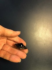 vintage metal with black stone center jewelry brooch pin