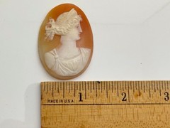Antique Vintage Unmounted Hand Carved Shell Cameo 45mm X 30mm- 7 grams