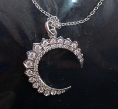 Hespera Silver Crescent Moon Necklace – NEW