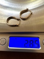 Gold Over 925 Sterling Ross Simons Oval Horseshoe Hoop Diamond Chip Earrings