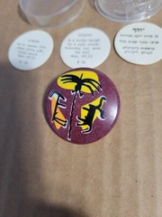 Tama Ornamin Pin Back Made in Israel “Emblem – The House Of Joseph” Melamine