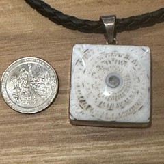 Beautiful Shiva Eye (Pacific Cat’s Eye) Shell Sterling Silver Necklace