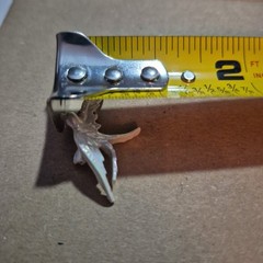 Vintage White Iridescent Enamel Swallow Birds Pins Set Of 2-READ*