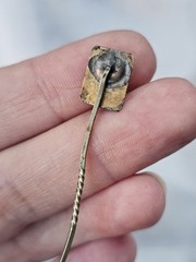 Antique Peacock Stick Pin Goldtone Untested
