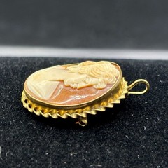 Antique Gold Filled Hand Carved Shell Cameo Portrait Brooch Pendant Pin