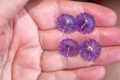 Vintage Genuine Amethyst Flower Jackets For Earrings Use With Any Studs