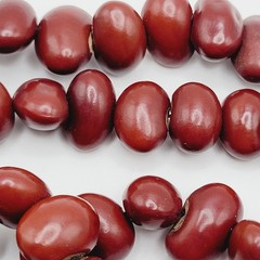 Artisan Hand Strung Red Seed Nut Bead Single Strand Infinity No Clasp Necklace