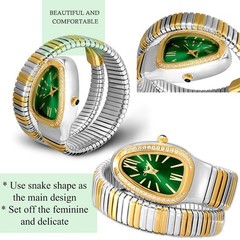 Classic Snake Shape Watch for Women Gold Silver Scaleable Bracelet Womens Wat…