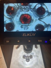 Vtg Mozambique Garnet & Marcasite Silver Brooch Victoria 925 Silver