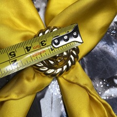 Vintage Scarf Ring Clip Gold Lion Ornate Jewelry