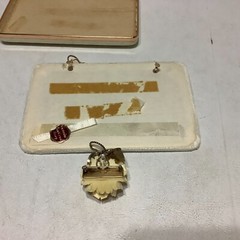 Vintage Van Dell 12K Gold Filled Rose Necklace and Screw Back Earrings w/Case