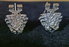 JTV Off Park Collection Crystal Tiger Pendant Necklace & Stud Earrings Set