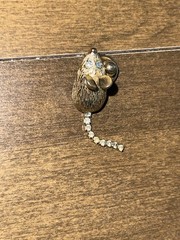 Vintage Avon Animal Pins-Lot of 3