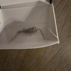 VINTAGE NECKLACE JEWELRY LOT / 5 TOTAL