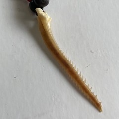 Stingray Barb With Beads Necklace And Clamp Vintage Beachwear