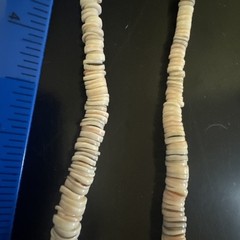Puka Shell Turquoise Beaded Necklace