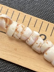 Tiger Puka Shell Necklace Beach Surfer 14.5” Collar white & brown specks vintage