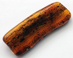 VINTAGE/ ANTIQUE GENUINE BALTIC AMBER BROOCH WITH FOSSILS AND INSECT 17.32g