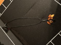 Baltic Amber Tassel Necklace 925 Sterling Silver On Leather Cord Vintage