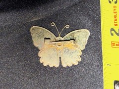 5 Vintage Pins Brooches Western Themed Parrot Butterfly Kiwi “B” See Description