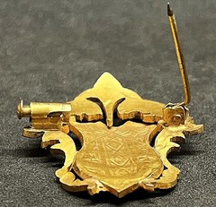 France 1920´ old beauty brooch fleur-de-lis shield, Art Nouveau design elegant