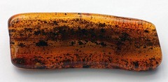 VINTAGE/ ANTIQUE GENUINE BALTIC AMBER BROOCH WITH FOSSILS AND INSECT 17.32g