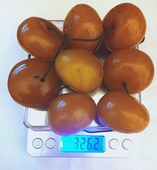 Vtg Egg Yolk Butterscotch Amber Bakelite Chunky Beads 40-45mm x 30mm, 326+ Grams