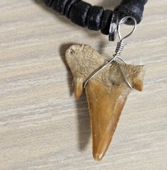VINTAGE FOSSIL SHARK TOOTH WOOD PUKA SHELL BEADS CHOKER NECKLACE