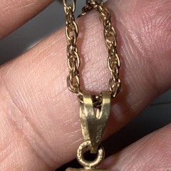 Necklace Encased 22k gold nuggets and 12k gold-filled rope border bezel & Chain